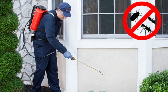 Gemerek Hamam Böceği İlaçlama böcek ilaçlama ve haşere kontrolü — ilaclama-tr.com